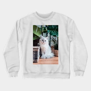 Beautiful White Cat Pet Animal Crewneck Sweatshirt